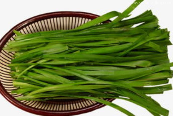 韭菜進口報關(guān)清關(guān)知識有哪些？