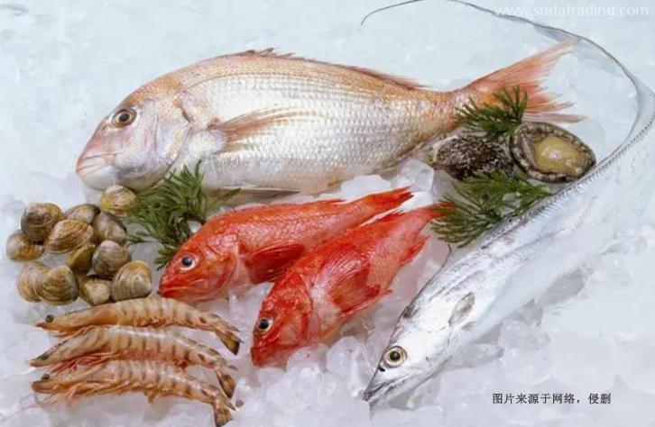 上海進(jìn)口巴基斯坦水產(chǎn)品報(bào)關(guān)資料冷凍魚蝦蟹清關(guān)